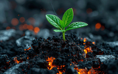 The Building Blocks of True Resilience & Recovery